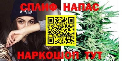 кокс Ярославль