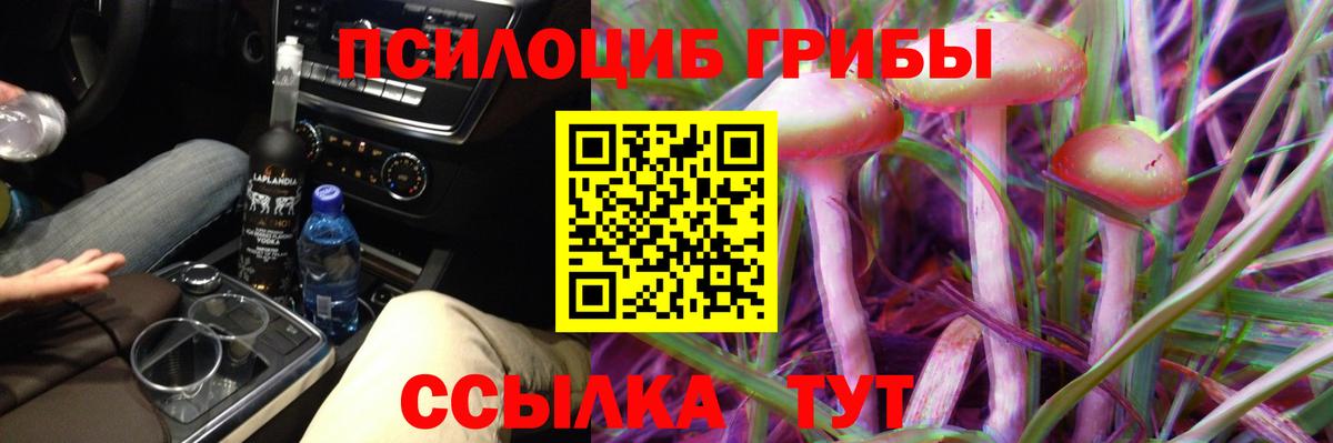 Серпухов  Псилоцибиновые грибы Psilocybine cubensis  Вход с VPN 